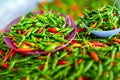 Vegetables. Hot BirdÃ¢â¬â¢s Eye Chili Peppers. Healthy Food Ingredient. Spices.